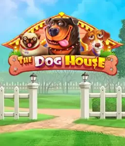 Pragmatic Play's The Dog House, offering a fun-filled adventure through playful pups. Engage in features such as sticky wilds, perfect for delivering joyful moments. A must-try for pet lovers a cheerful setting alongside lucrative rewards.