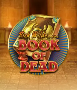 Embark on the thrilling world of Book of Dead by Play'n GO, showcasing vivid graphics of Rich Wilde’s adventurous journey through ancient Egyptian tombs and artifacts. Discover lost riches with captivating mechanics like free spins, expanding symbols, and a gamble option. Ideal for adventure seekers with a desire for unearthing secrets.